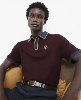 Rare Rabbit Men's Lark Dark Maroon Contrasting Collar And Half Sleeves Regular Fit Plain Knitted Polo T-Shirt